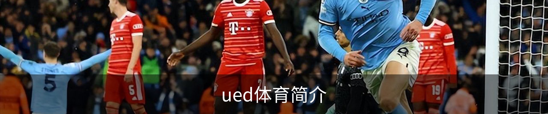 ued体育简介